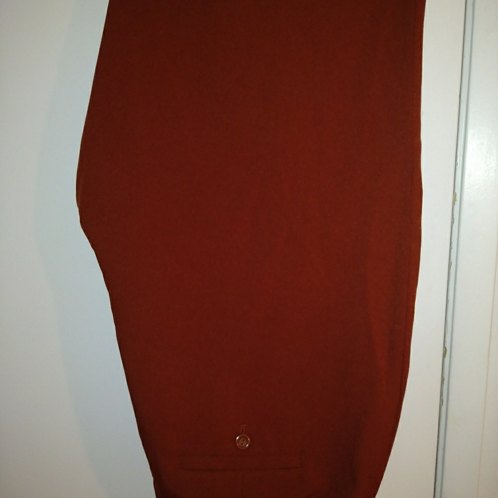 Emily sz 16 burnt orange slacks (pants)